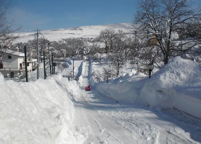 Filia - La Dell'amicizia